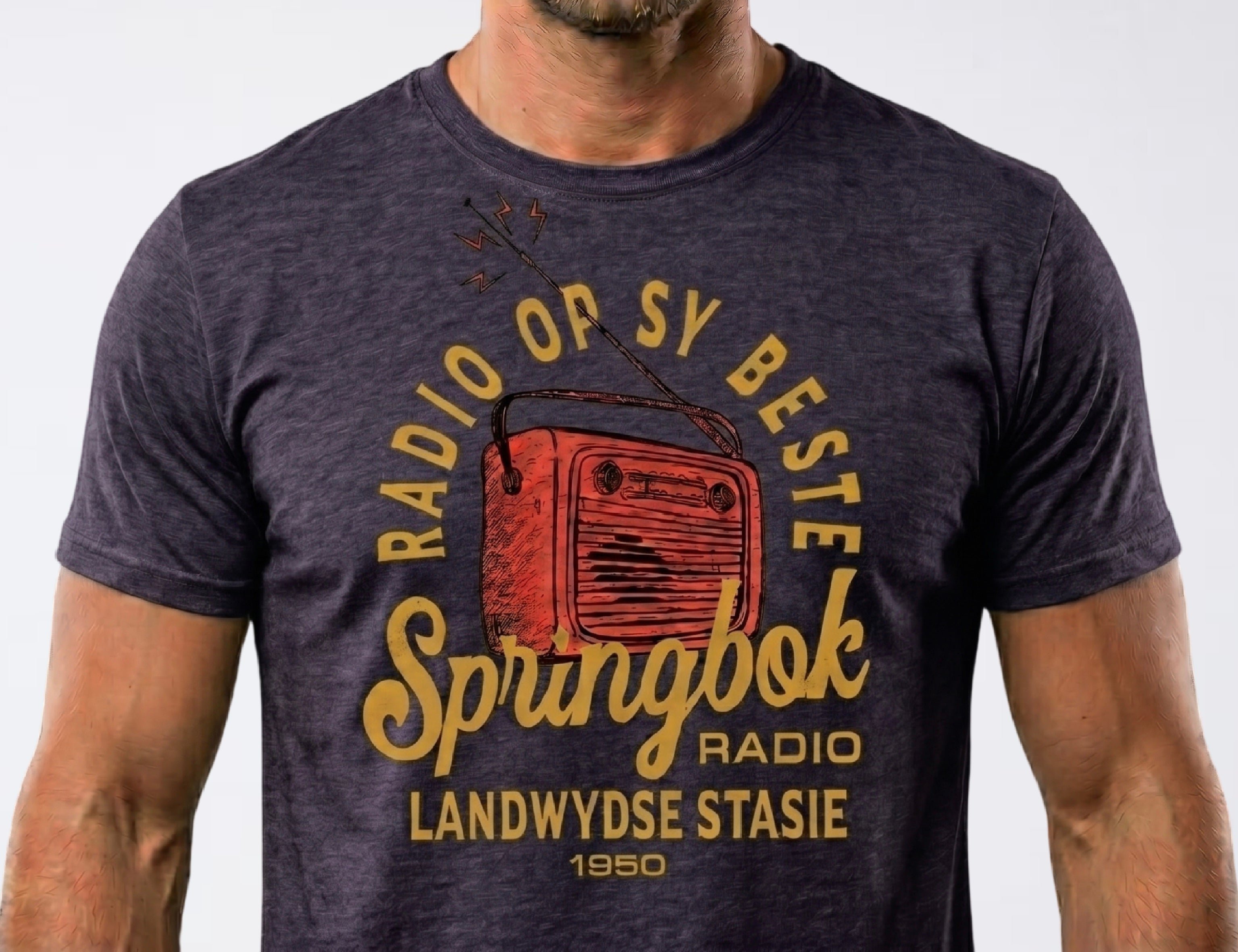 Springbok Radio Vintage T-Hemp